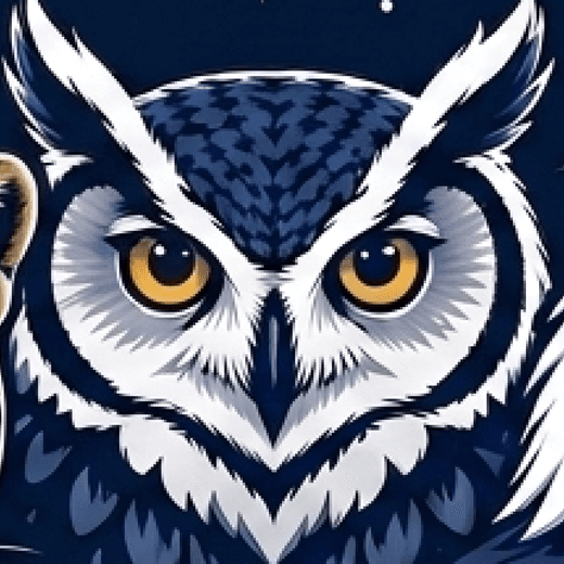 Owl — Kennesaw State University mascot, from the ASPIRE mission patch